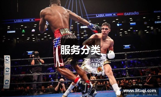 服务分类